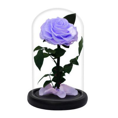 Porno lezbiyenler katta Dik uchun teshiklarini chozadilar